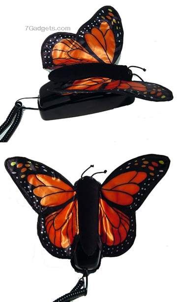butterflycorded.jpg