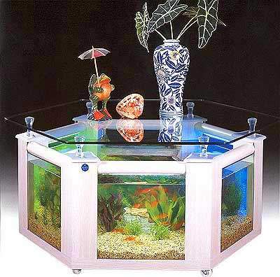 fish tank coffee table. Coffee Table Aquarium