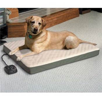 Heated Dog Bed