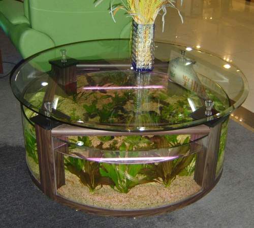 Coffee Table Aquarium