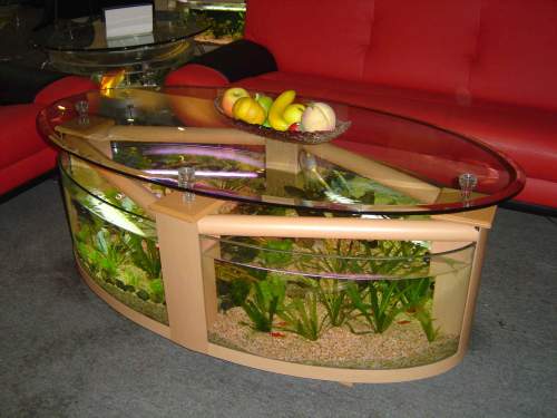 Coffee Table Aquarium