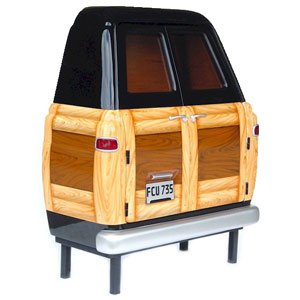 Car Bars