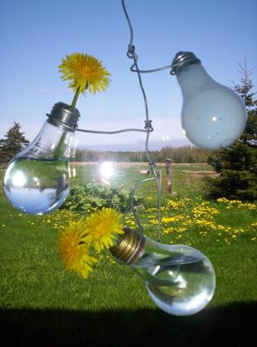 Top 7 wired vase