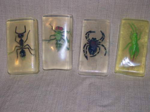 BUG SOAP SOY BASED