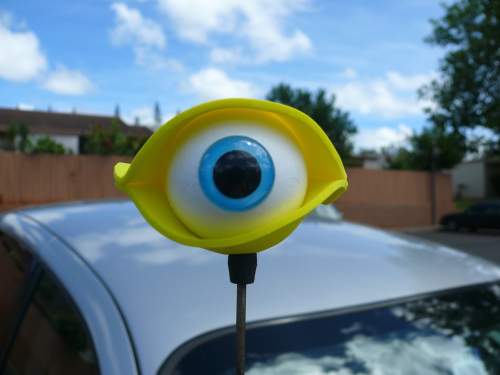 Fortune Cookie AntennaEYE