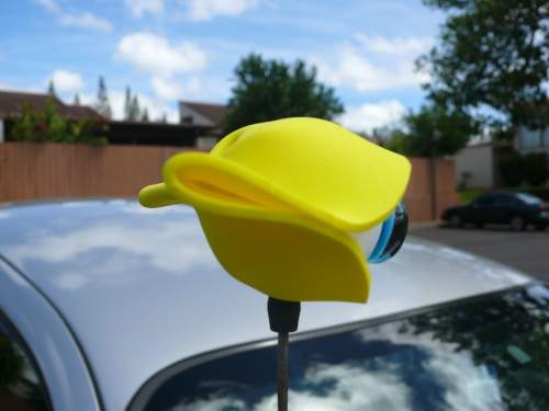 Fortune Cookie AntennaEYE