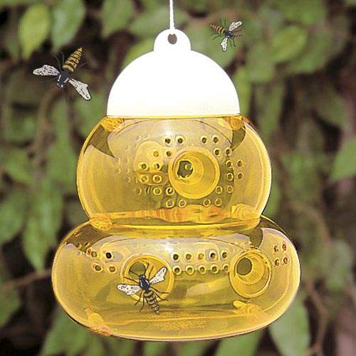 2 Wasp Traps 