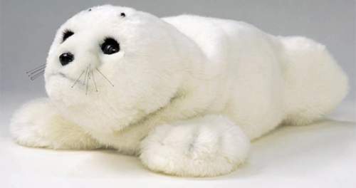 paro-robotic-healing-seal-1.jpg