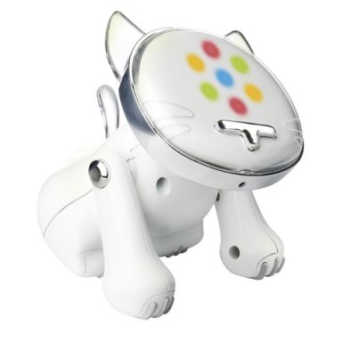 i-Cat