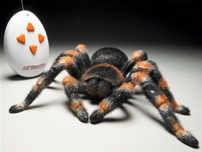 Remote Control Tarantula