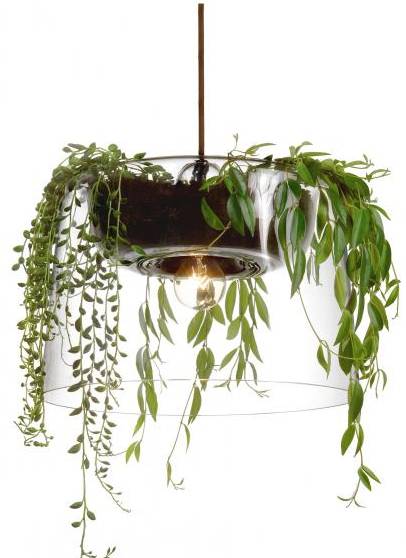 Pendant with plant
