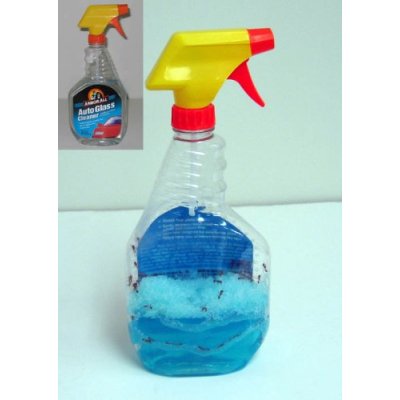 ANTBASE