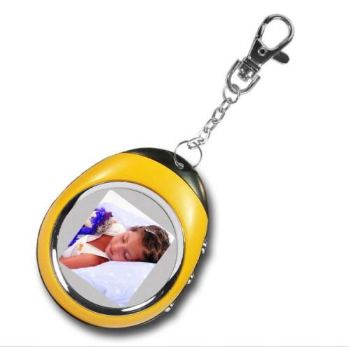 Portable Digital Picture Frame