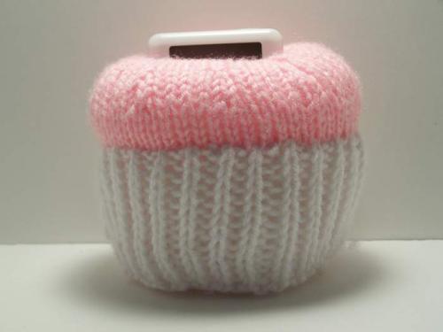 Dress up your iPod
