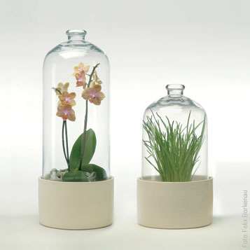 FLORATUBE