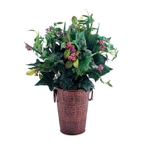 PLANT CAMERA COLOR 2.4GHZ<br />