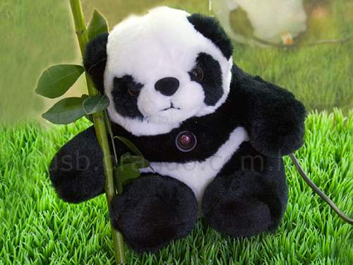 USB Panda Web Cam
