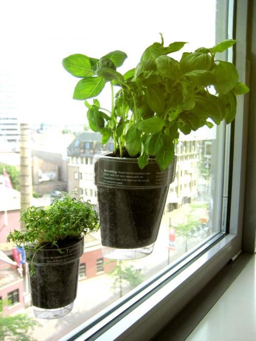 Windowherbs