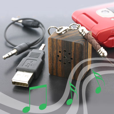 smallest speaker