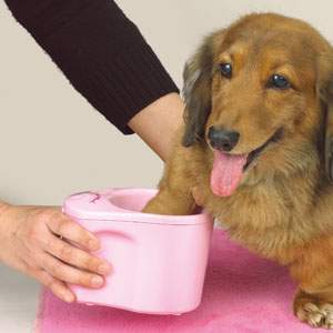 Foot washer for love dog