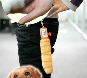 Paw cat trinket