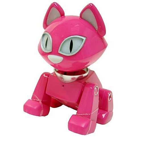 iKool Kat