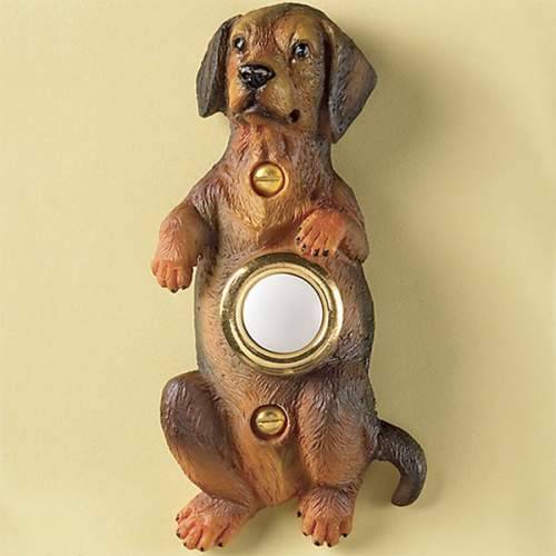 Door Bell Button Cover