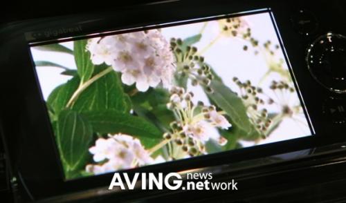 OLED PMP prototype
