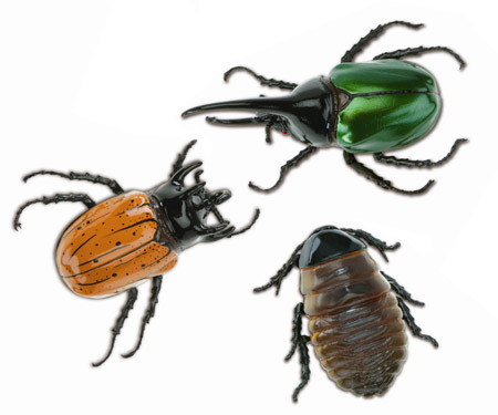 Radio Control Arthropods