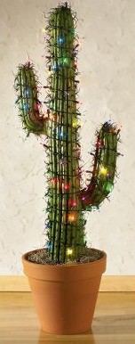 Illuminated Saguaro Cactus