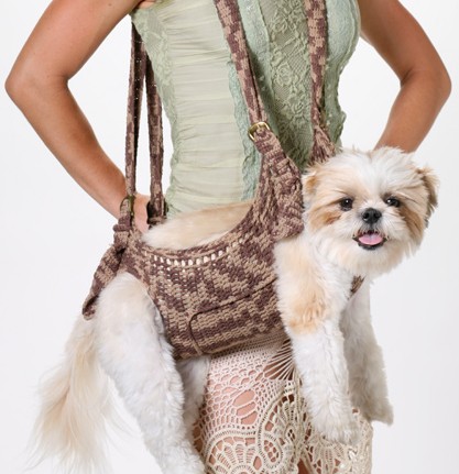 carry your pet