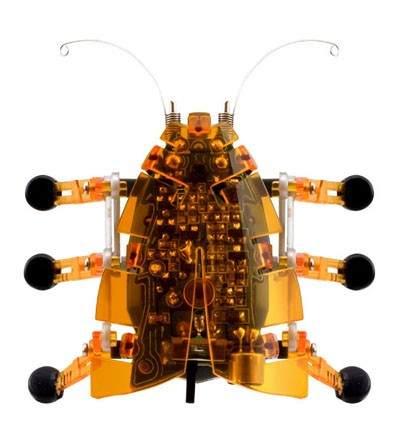 Robotic Bug