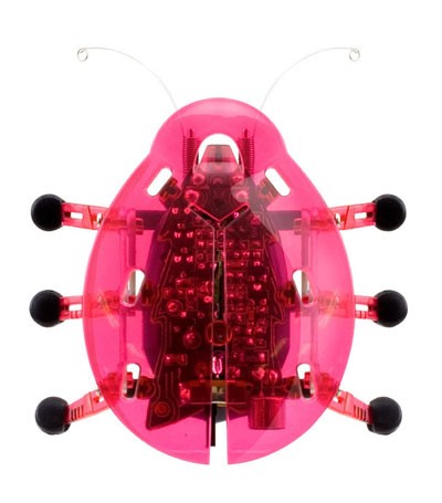 Robotic Bug