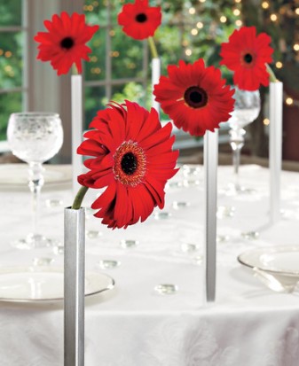 Magnetic Vases
