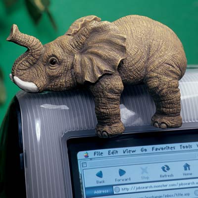 Computer Companion