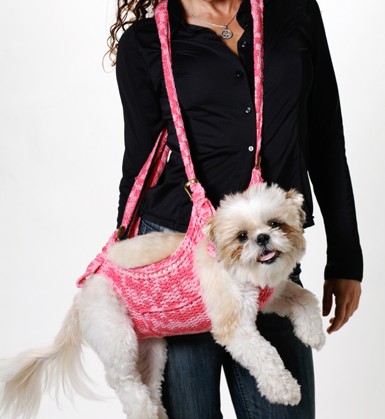 carry your pet.