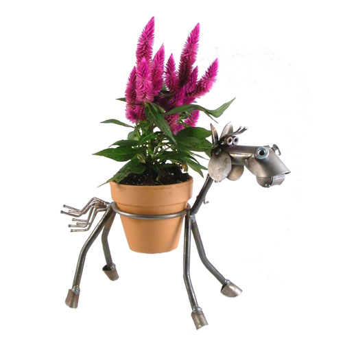 Plant Holder
