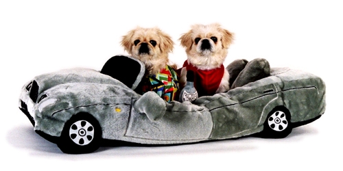 Bed dogs