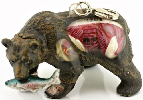 dissected