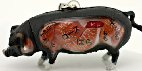 dissected