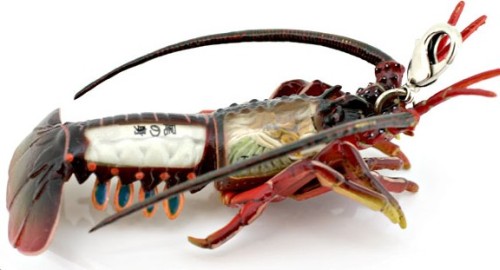 dissected