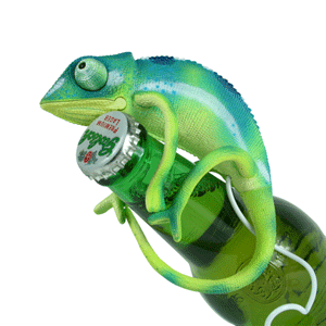 USB Chameleon