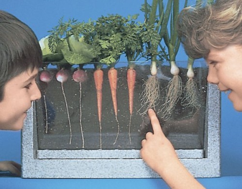 Root Vue Farm