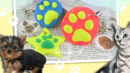 Cell phone pet