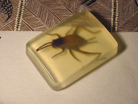 Children’s Soaps