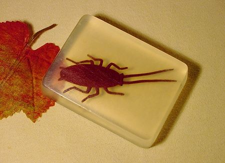 Children’s Soaps