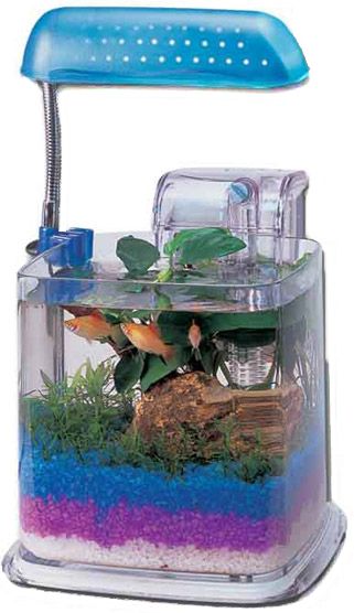 Razzle Dazzle Fish Aquarium