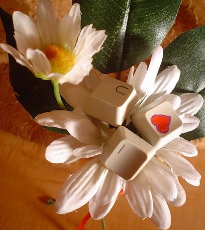 Fleur de Nerds