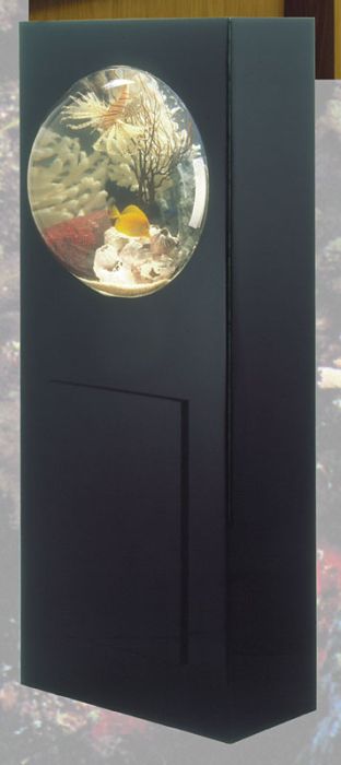 Dome Aquarium