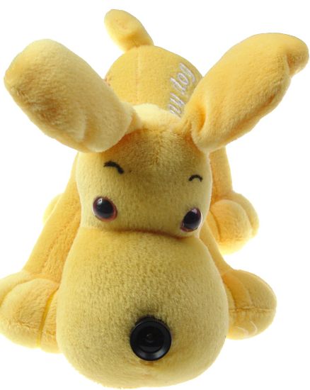 USB Puppy Cam